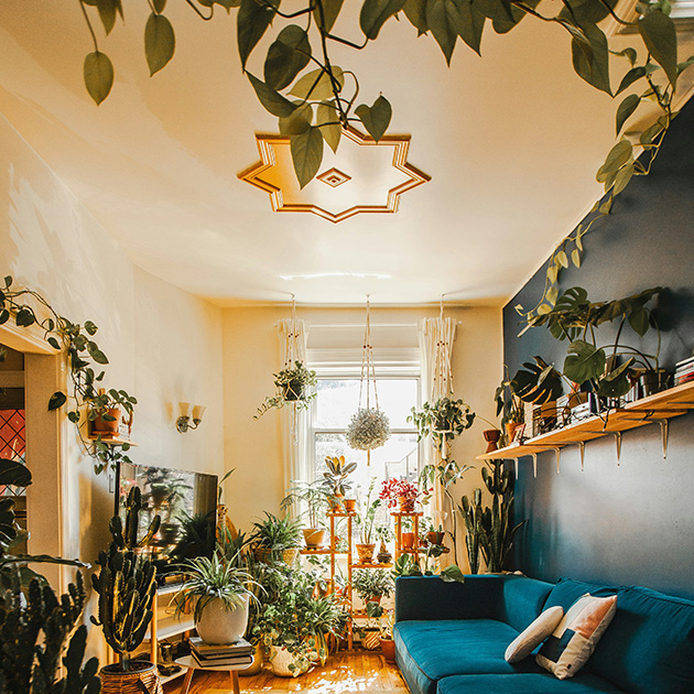 Sustainable Luxury